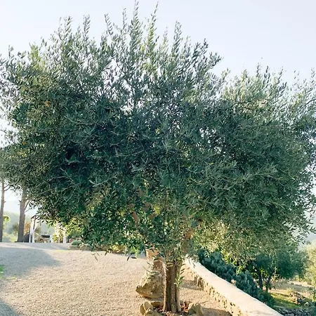Montanare Alloggio in famiglia