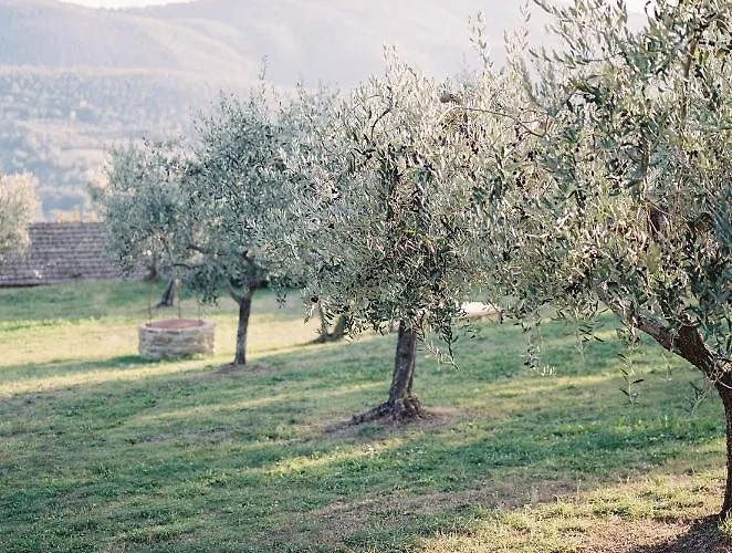 Montanare - Romantic Escape Tuscany Cortona