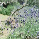 ホームステイ Montanare - Romantic Escape Tuscany *