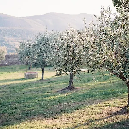 Montanare - Romantic Escape Tuscany Cortone