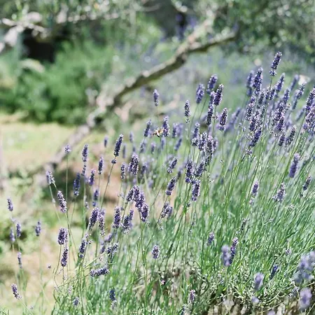 Privatunterkunft Montanare - Romantic Escape Tuscany *