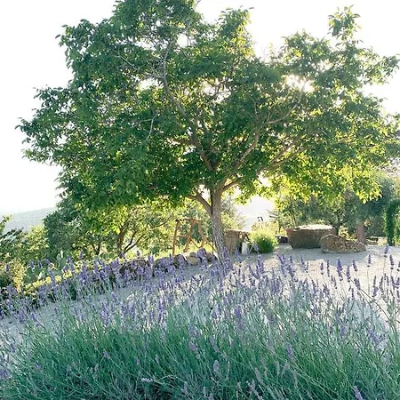 Montanare Homestay Cortona