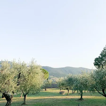 Homestay Montanare - Romantic Escape Tuscany Cortona