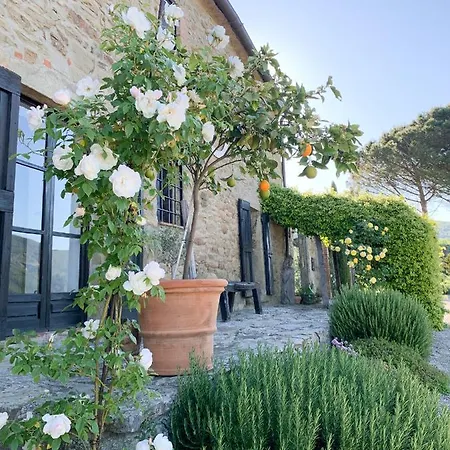 Montanare * Cortona
