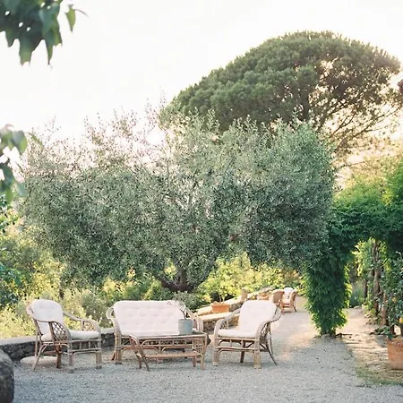 Montanare - Romantic Escape Tuscany Séjour chez l'habitant