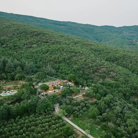 Montanare * Cortona