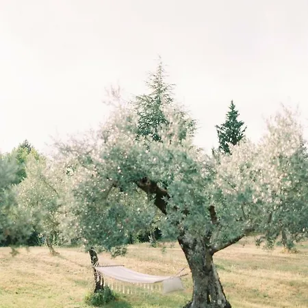 Montanare Homestay Cortona