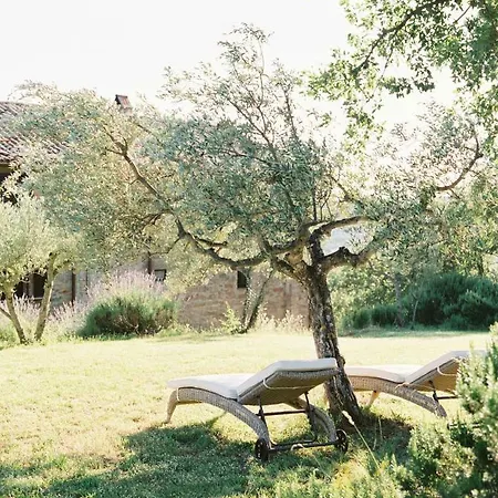 Homestay Montanare Cortona