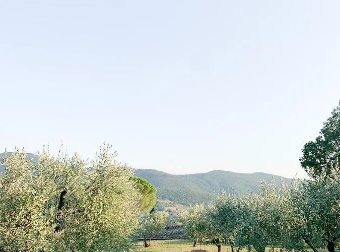 民宿 Montanare - Romantic Escape Tuscany 哥尔顿