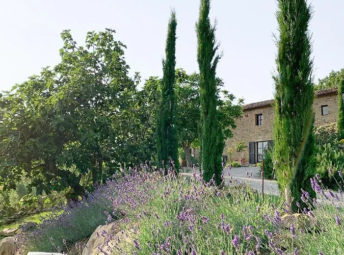 Montanare - Romantic Escape Tuscany 民宿 *