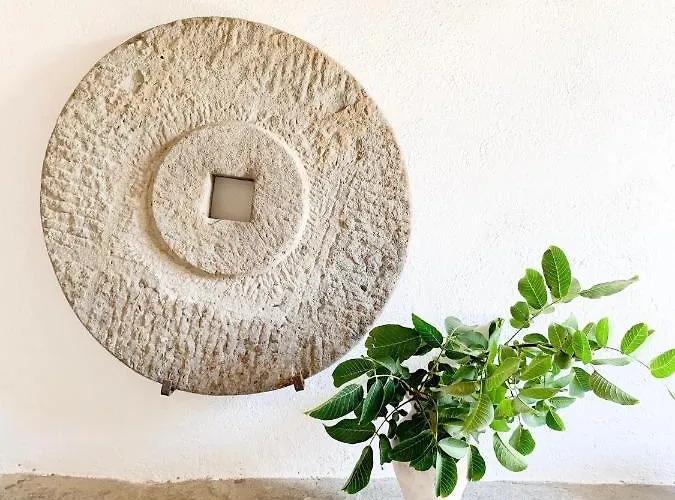 Montanare - Romantic Escape Tuscany Alloggio in famiglia *