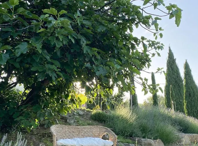 홈스테이 Montanare - Romantic Escape Tuscany *