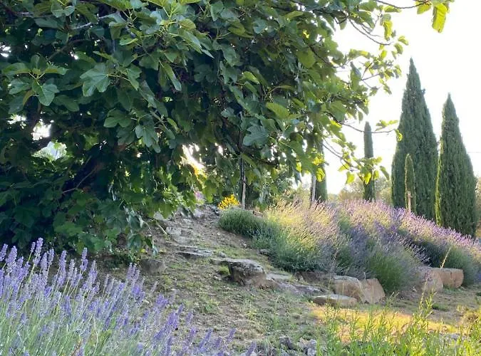 Montanare - Romantic Escape Tuscany * 코르토나