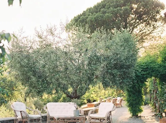 Montanare - Romantic Escape Tuscany Accommodatie bij particulieren